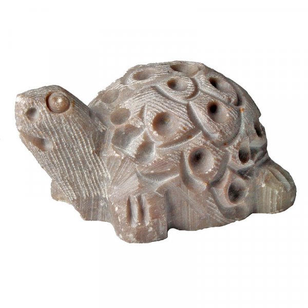 Schildkröte geschnitzt 2,5 cm
