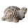 Schildkröte geschnitzt 2,5 cm