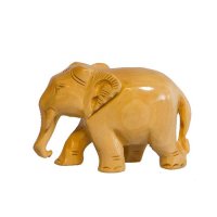 Elefant, Rüssel unten, hell
