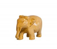 Elefant, Rüssel unten, hell