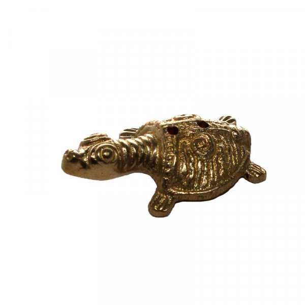 Schildkröte